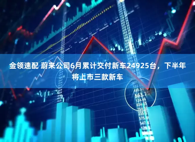 金领速配 蔚来公司6月累计交付新车24925台，下半年将上市三款新车