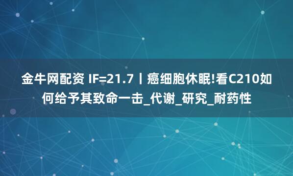 金牛网配资 IF=21.7丨癌细胞休眠!看C210如何给予其致命一击_代谢_研究_耐药性